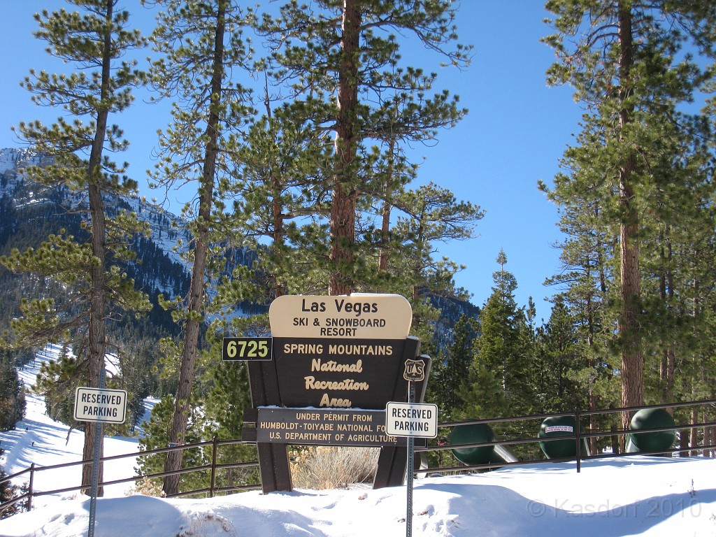 Las Vegas 2010 - Mt Charleston 0421.JPG - The 2010 Las Vegas Fire - Ice and Sweat Tour. Half Marathon, Red Rock Canyon, Casinos, Valley of Fire.... and buffets!